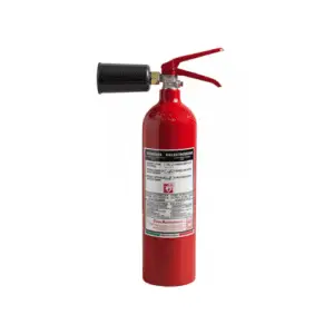 Estintore Co2 Kg. 2 - 34B